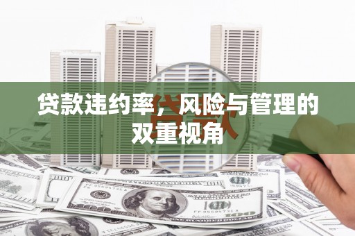 渭源贷款违约率，风险与管理的双重视角