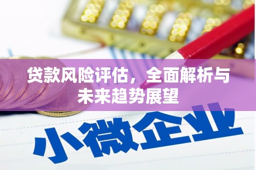 渭源贷款风险评估，全面解析与未来趋势展望