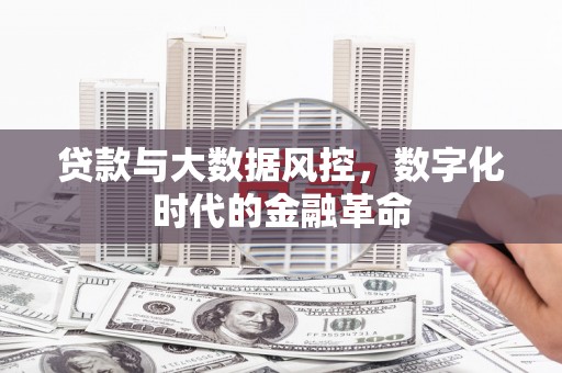 渭源贷款与大数据风控，数字化时代的金融革命