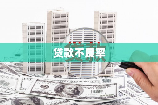 渭源贷款不良率