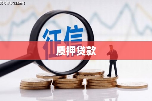 渭源质押贷款