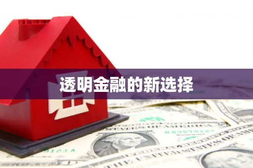 渭源透明金融的新选择
