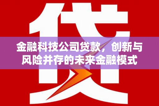 渭源金融科技公司贷款，创新与风险并存的未来金融模式