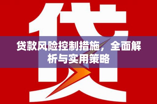 渭源贷款风险控制措施，全面解析与实用策略