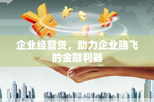 渭源企业经营贷，助力企业腾飞的金融利器