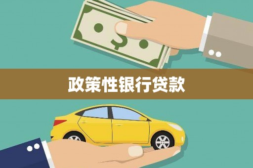 渭源政策性银行贷款