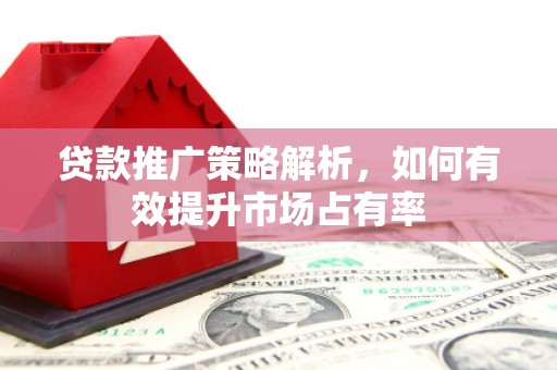渭源贷款推广策略解析，如何有效提升市场占有率