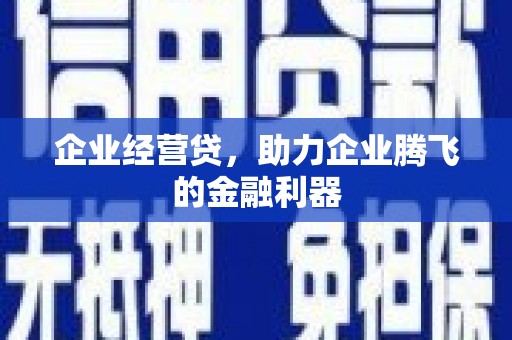 渭源企业经营贷，助力企业腾飞的金融利器