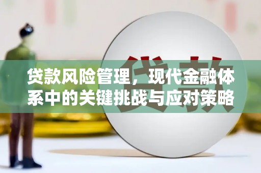 渭源贷款风险管理，现代金融体系中的关键挑战与应对策略