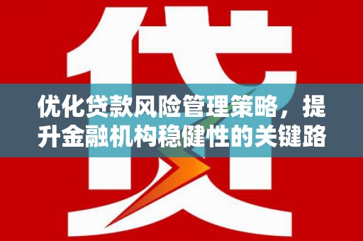渭源优化贷款风险管理策略，提升金融机构稳健性的关键路径