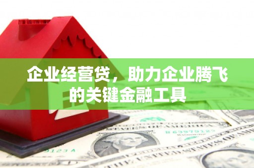 渭源企业经营贷，助力企业腾飞的关键金融工具