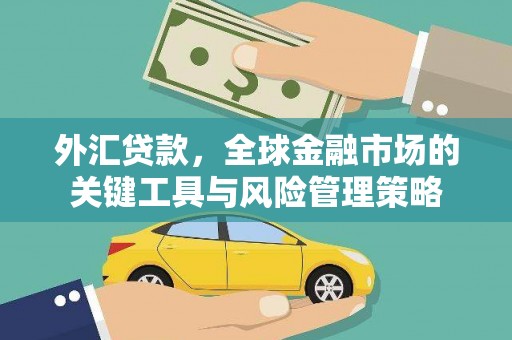 渭源外汇贷款，全球金融市场的关键工具与风险管理策略
