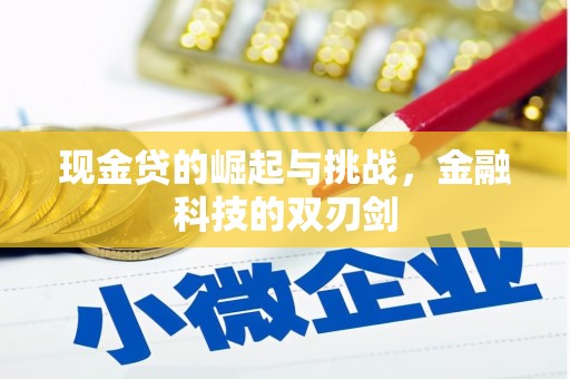 渭源现金贷的崛起与挑战，金融科技的双刃剑