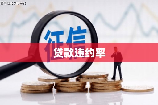 渭源贷款违约率