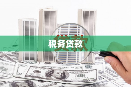 渭源税务贷款