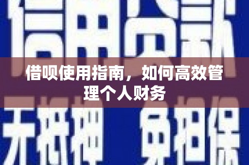渭源借呗使用指南，如何高效管理个人财务