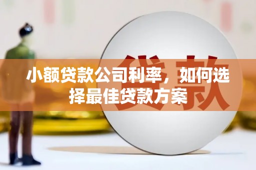 渭源小额贷款公司利率，如何选择最佳贷款方案