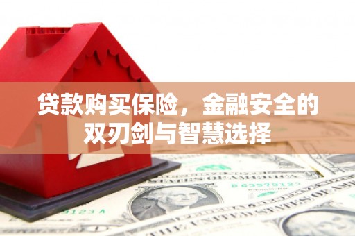 渭源贷款购买保险，金融安全的双刃剑与智慧选择