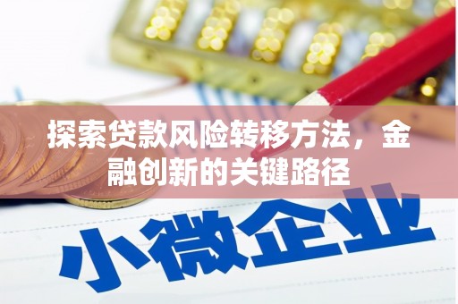 渭源探索贷款风险转移方法，金融创新的关键路径