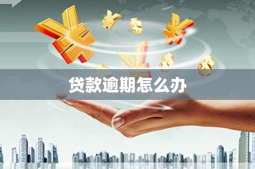 渭源贷款逾期怎么办