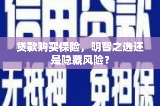 渭源贷款购买保险，明智之选还是隐藏风险？
