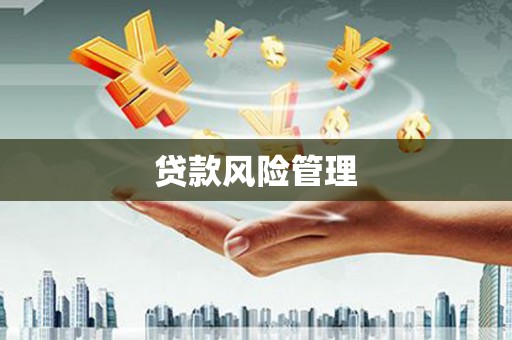 渭源贷款风险管理