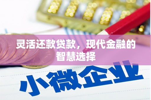渭源灵活还款贷款，现代金融的智慧选择