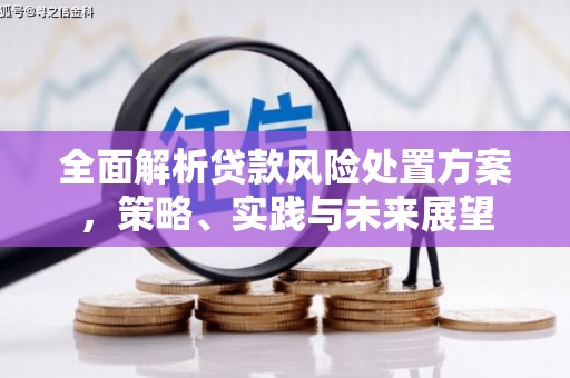 渭源全面解析贷款风险处置方案，策略、实践与未来展望
