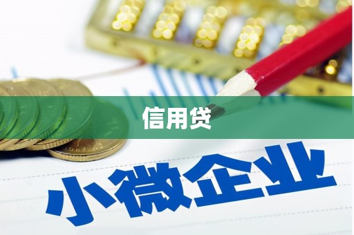 渭源信用贷