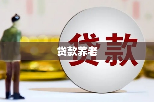 渭源贷款养老