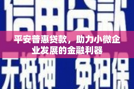 渭源平安普惠贷款，助力小微企业发展的金融利器