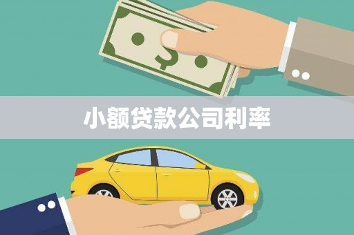 渭源小额贷款公司利率