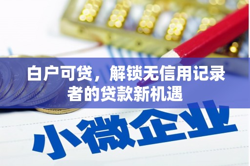 渭源白户可贷，解锁无信用记录者的贷款新机遇