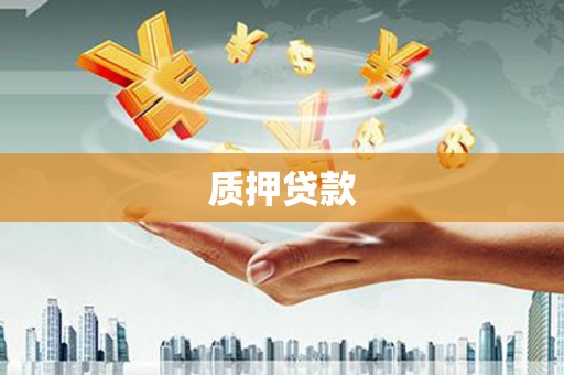 渭源质押贷款