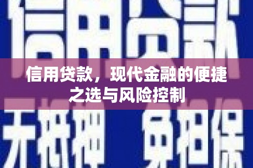 渭源信用贷款，现代金融的便捷之选与风险控制