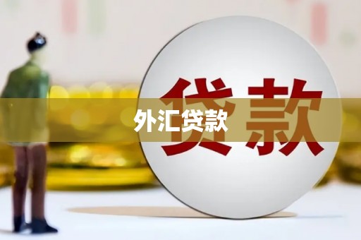 渭源外汇贷款