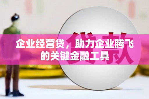 渭源企业经营贷，助力企业腾飞的关键金融工具