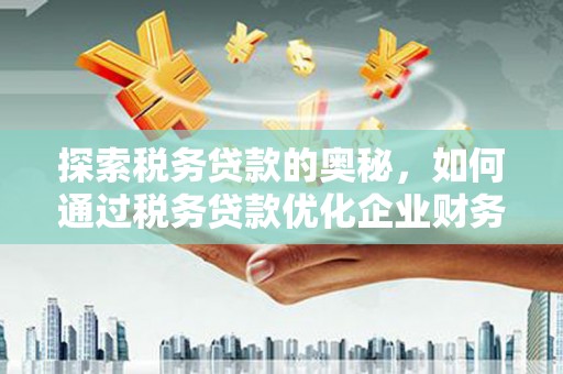 渭源探索税务贷款的奥秘，如何通过税务贷款优化企业财务