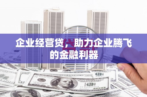 渭源企业经营贷，助力企业腾飞的金融利器