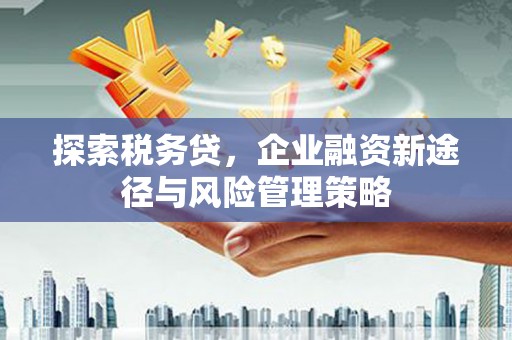 渭源探索税务贷，企业融资新途径与风险管理策略