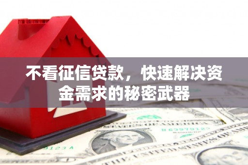 渭源不看征信贷款，快速解决资金需求的秘密武器