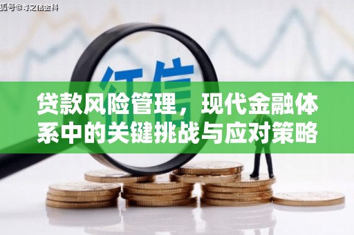 渭源贷款风险管理，现代金融体系中的关键挑战与应对策略