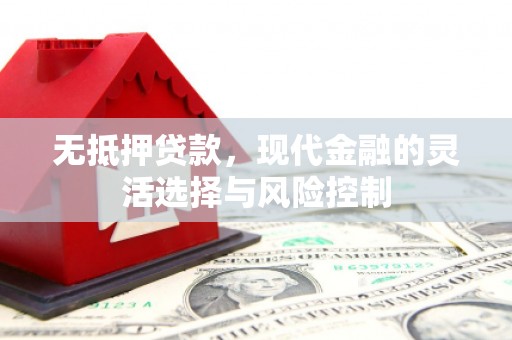 渭源无抵押贷款，现代金融的灵活选择与风险控制