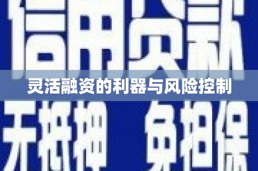 渭源灵活融资的利器与风险控制