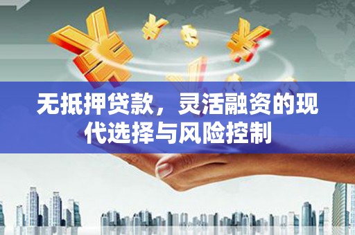 渭源无抵押贷款，灵活融资的现代选择与风险控制