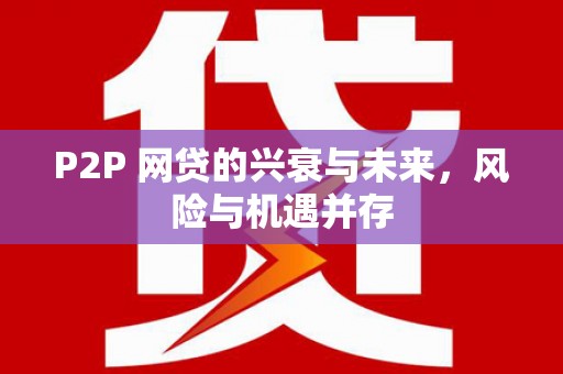 渭源P2P 网贷的兴衰与未来，风险与机遇并存
