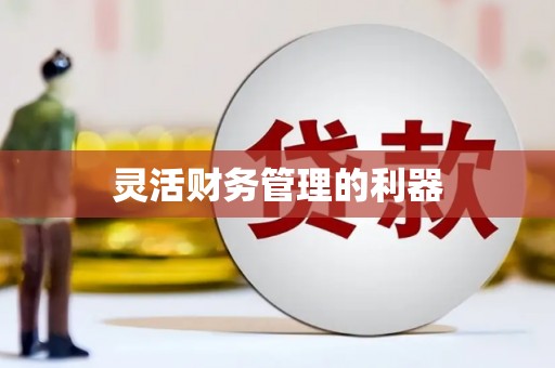 渭源灵活财务管理的利器