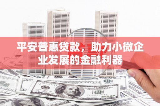 渭源平安普惠贷款，助力小微企业发展的金融利器