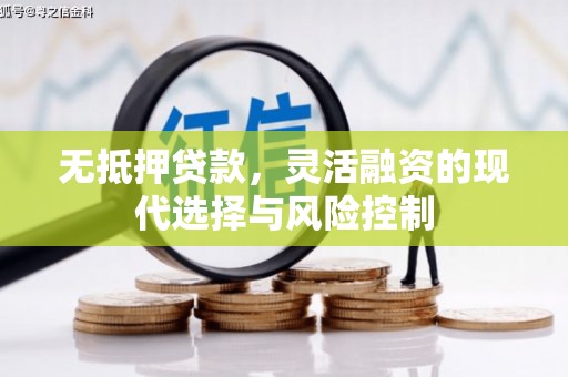 渭源无抵押贷款，灵活融资的现代选择与风险控制