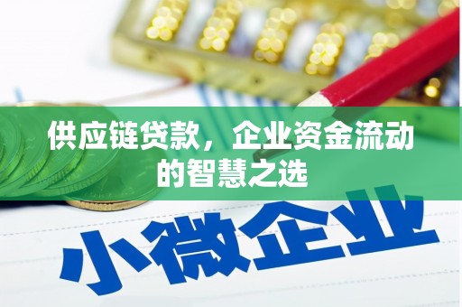 渭源供应链贷款，企业资金流动的智慧之选